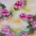 waterlilies